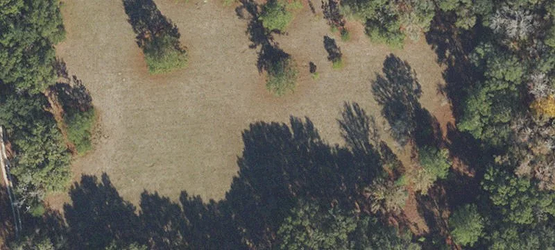 Alachua, FL 32615