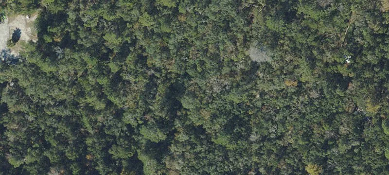 Hudson, FL 34667