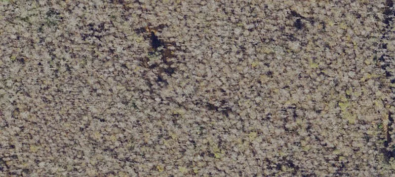 Bonita Springs, FL 34135
