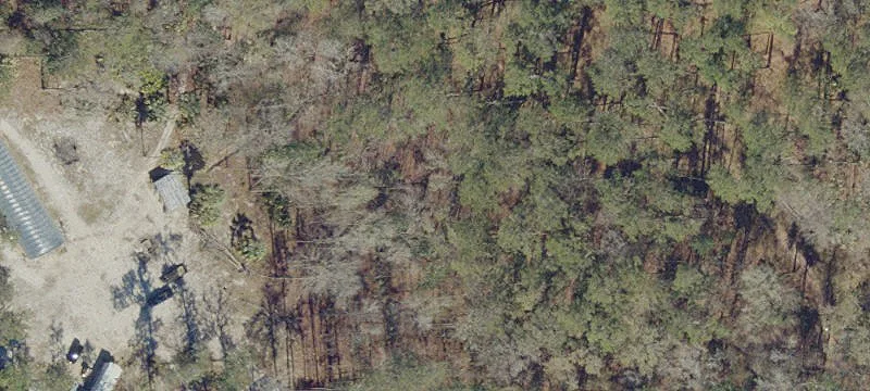 Micanopy, FL 32667