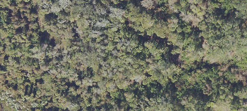 Rockledge, FL 32955