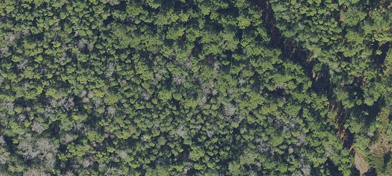 Waldo, FL 32694
