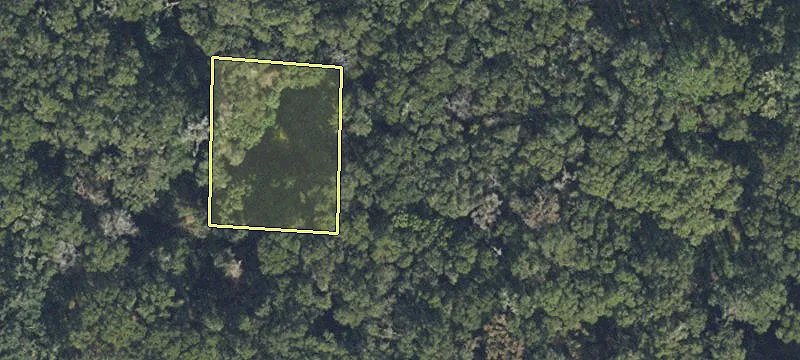 High Springs, FL 32643