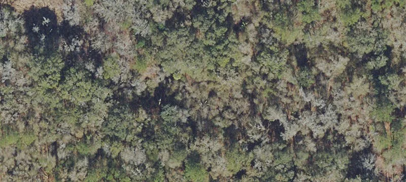 Micanopy, FL 32667