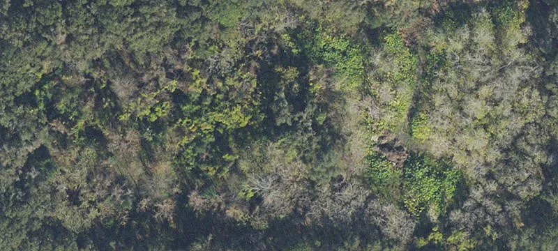 Archer, FL 32618