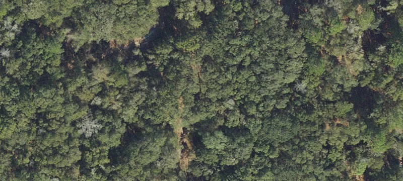 Live Oak, FL 32060