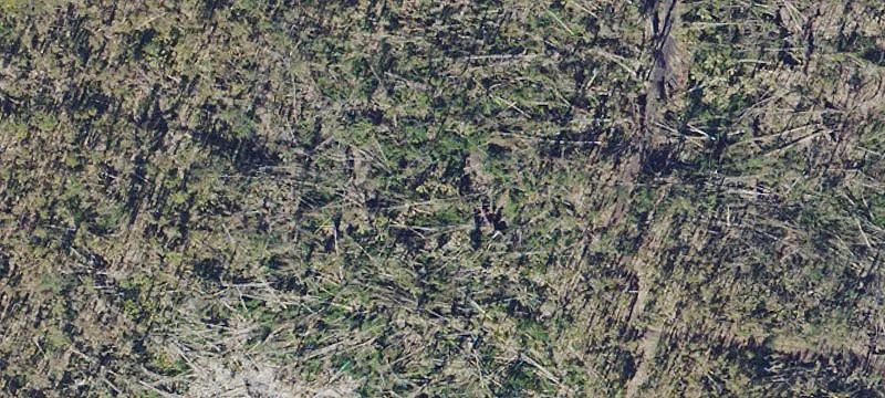 Bokeelia, FL 33922