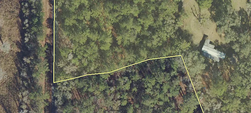 Williston, FL 32696
