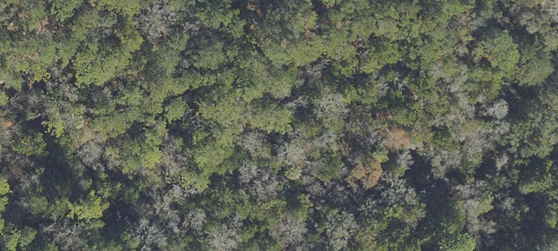 Ocala, FL 34481