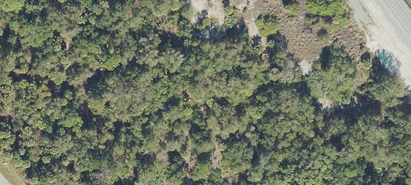 Rockledge, FL 32955