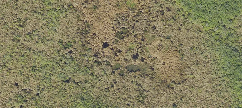 Titusville, FL 32780