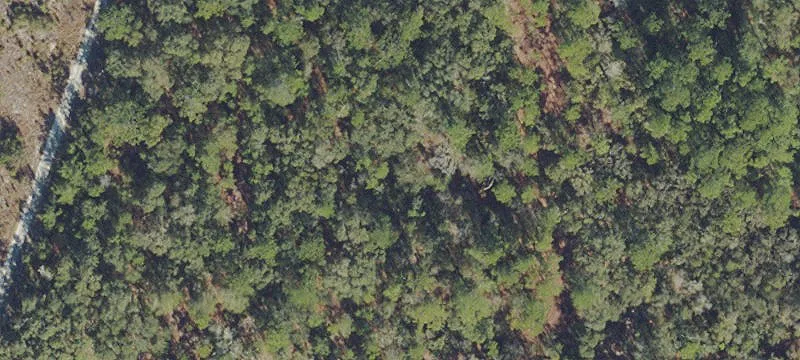 Florahome, FL 32140