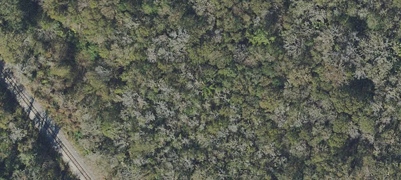 Plant City, FL 33563