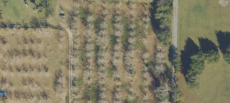 Alachua, FL 32615