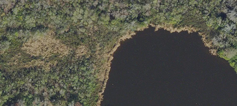 Holiday, FL 34691
