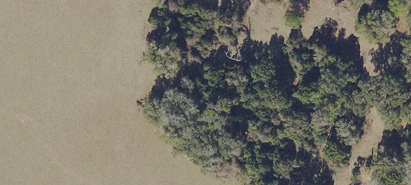 Hawthorne, FL 32640