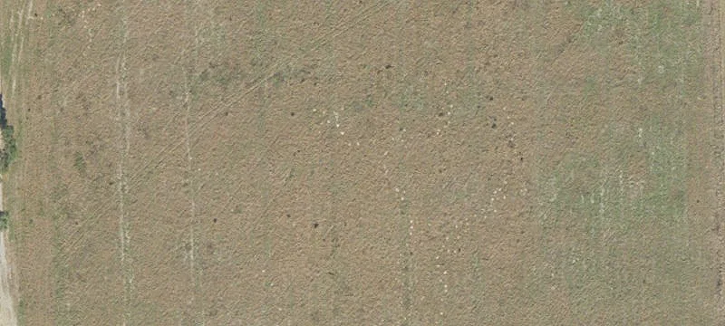 Newberry, FL 32669