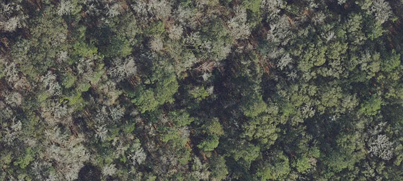 Alachua, FL 32615