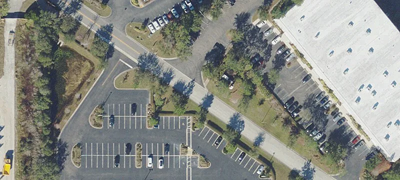Lutz, FL 33559