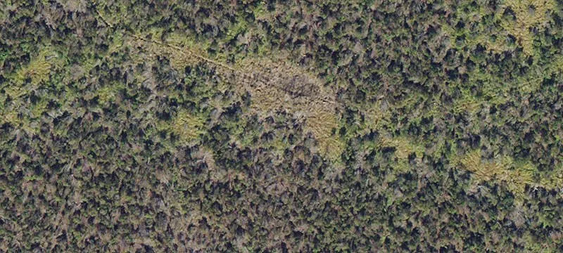 Of Taylor Gill Rd