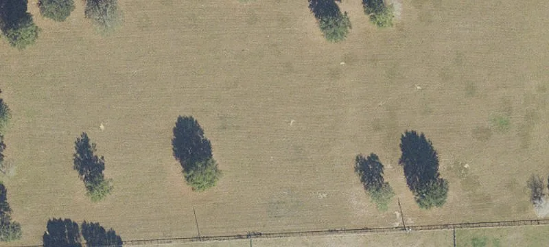 High Springs, FL 32643