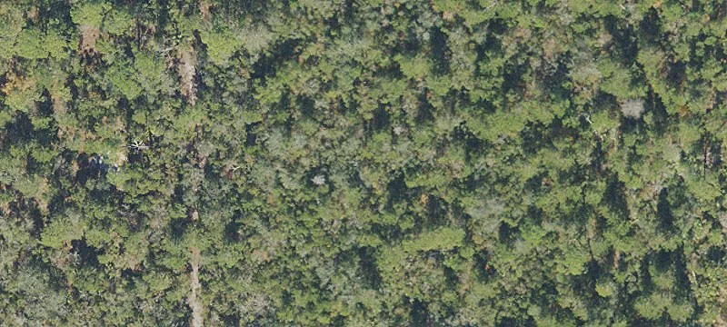 Titusville, FL 32780