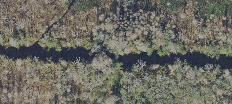 Waldo, FL 32694