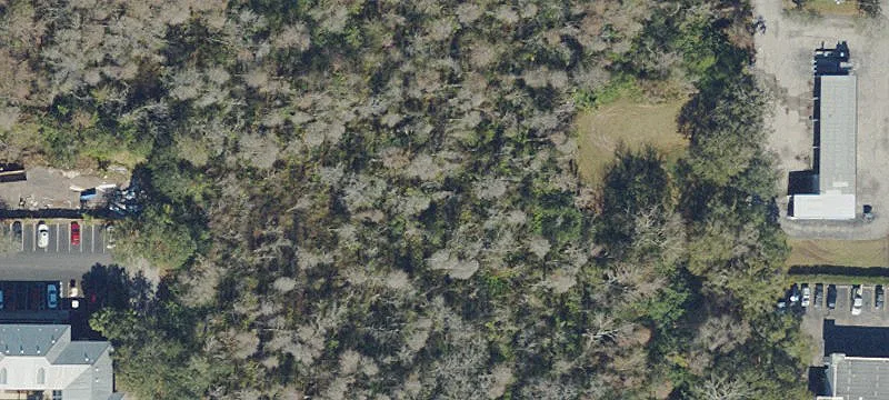 Lutz, FL 33558