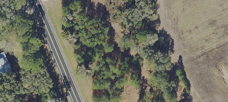Reddick, FL 32686
