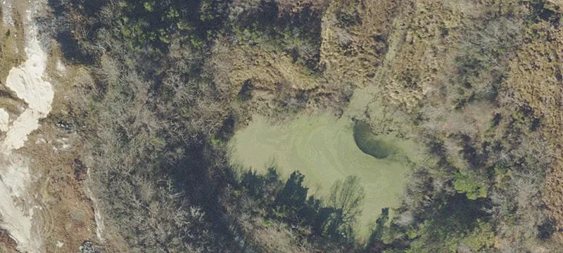 Ocala, FL 34482