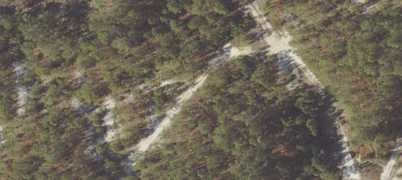 Silver Springs, FL 34488