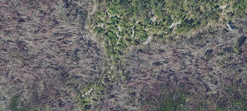 Bokeelia, FL 33922