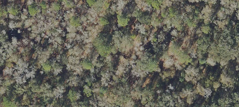 Hawthorne, FL 32640