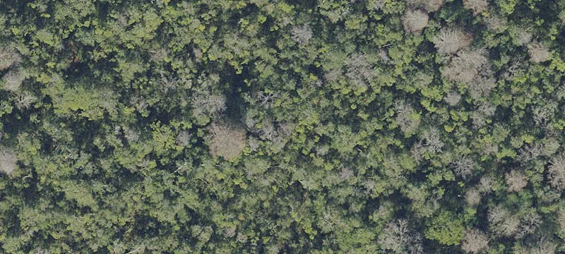 Waldo, FL 32694