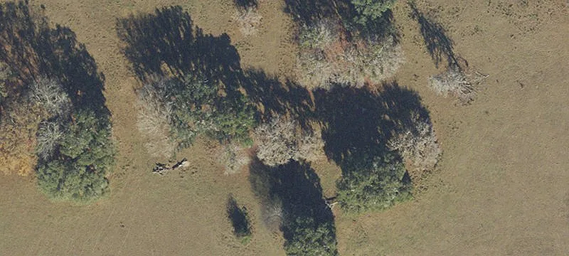 High Springs, FL 32643