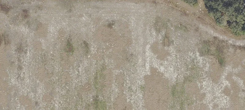 Dunnellon, FL 34432