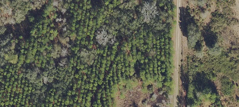 Micanopy, FL 32667
