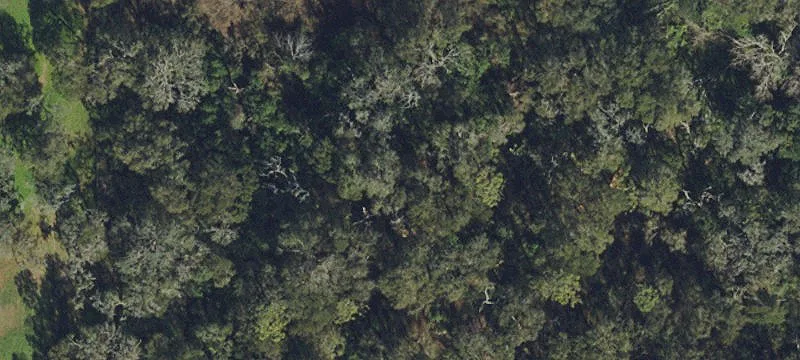 Valrico, FL 33594