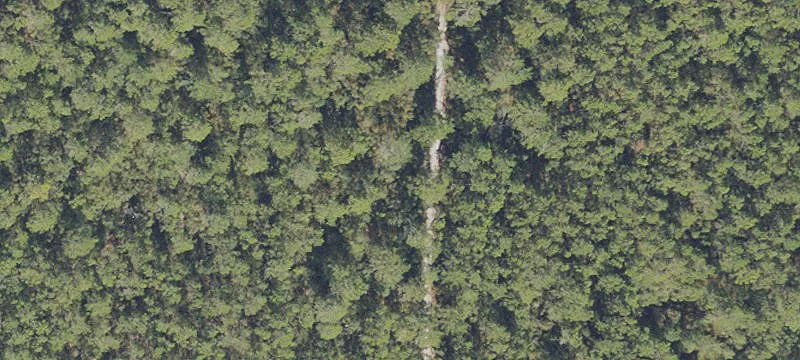Maggie Jones Rd