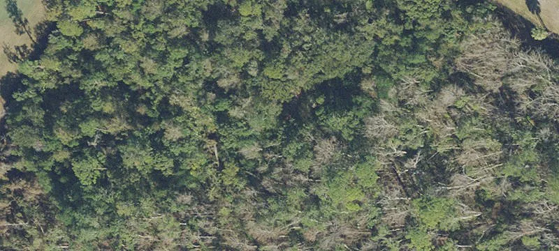 Casselberry, FL 32707