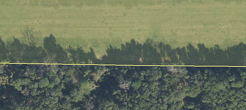 Newberry, FL 32669
