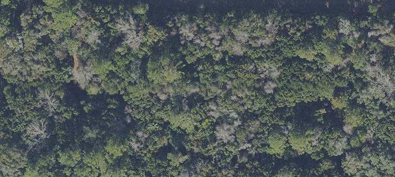Dunnellon, FL 34431