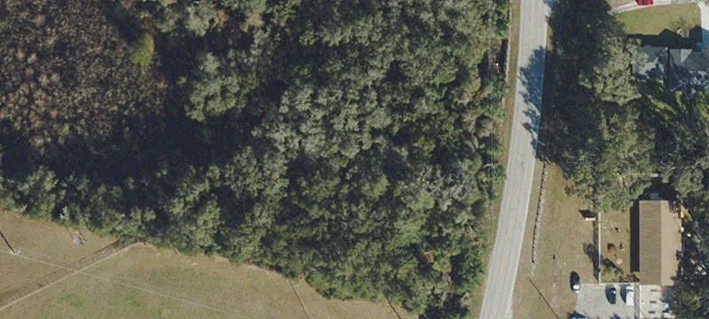 Dade City, FL 33525