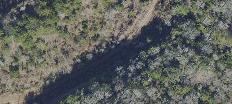 Reddick, FL 32686