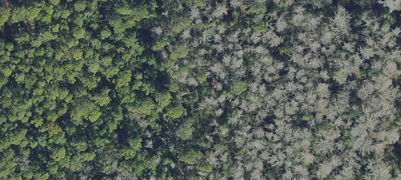 Palm Coast, FL 32137