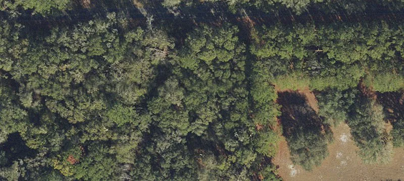Live Oak, FL 32060