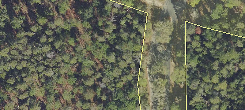 Silver Springs, FL 34488