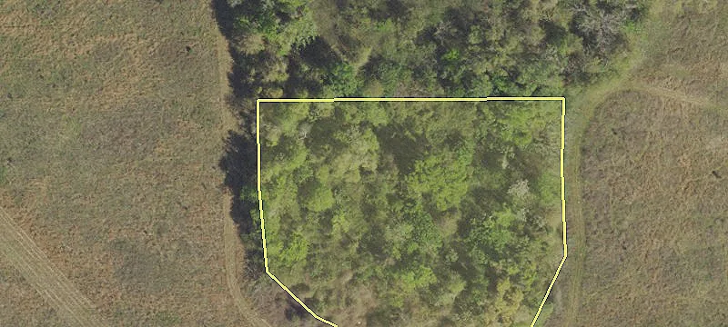 Cottondale, FL 32431