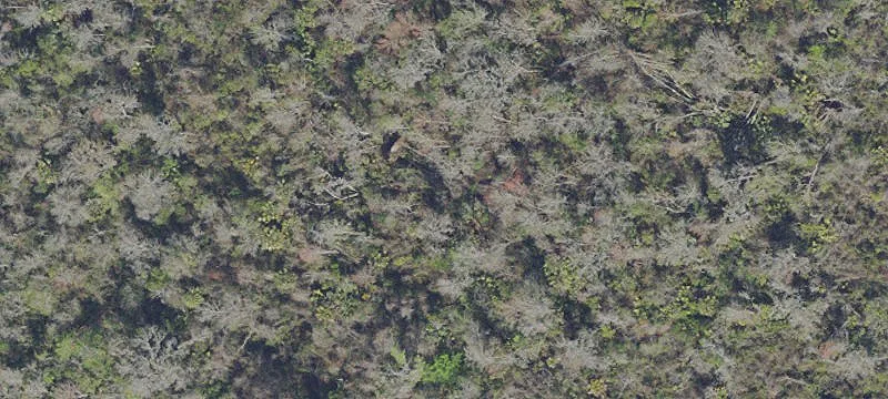 Palatka, FL 32177
