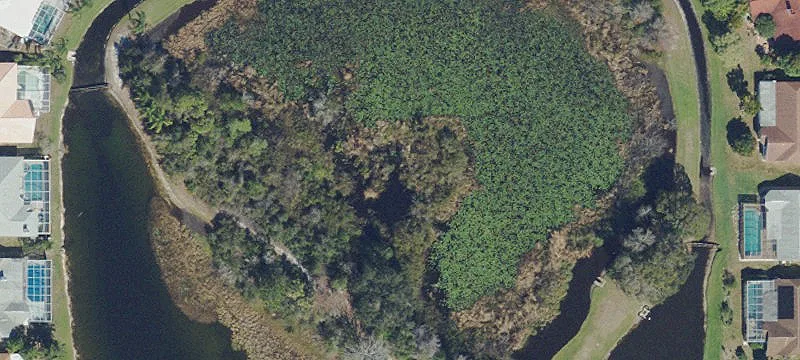 Holiday, FL 34691
